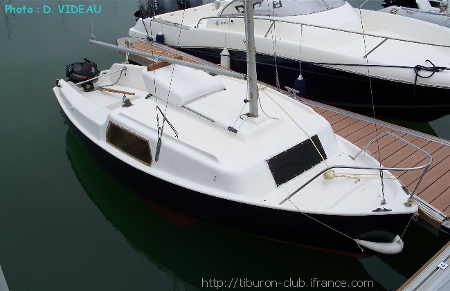 Tiburon