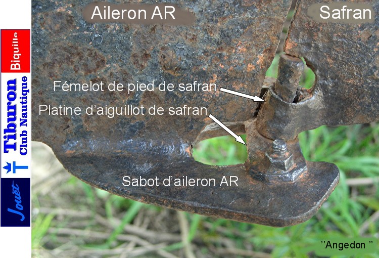 Pied d'origine Pied d'origine
