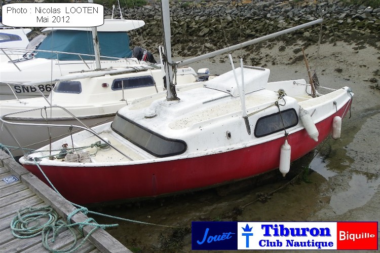 Tiburon au Croisic Tiburon au Croisic