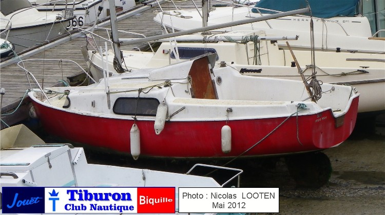 Tiburon Club Nautique Tiburon Club Nautique