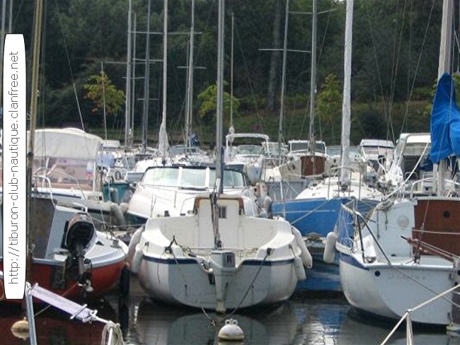 Voilier TIBURON