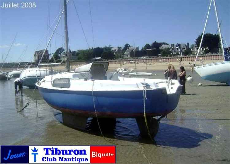 Tiburon échoué Joli coeur