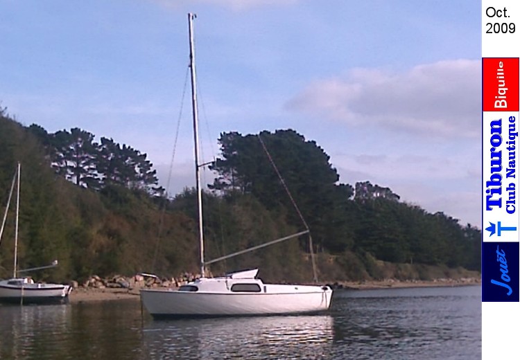 Tiburon Propre :!