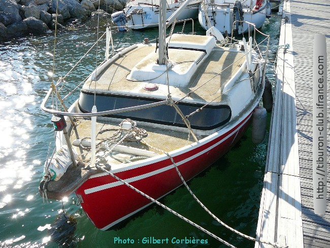 Tiburon biquille
