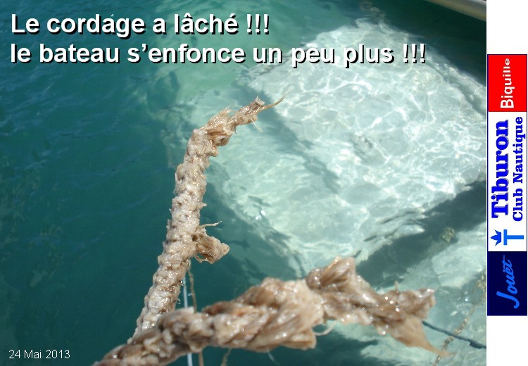 Panique à bord ! Panique à bord !