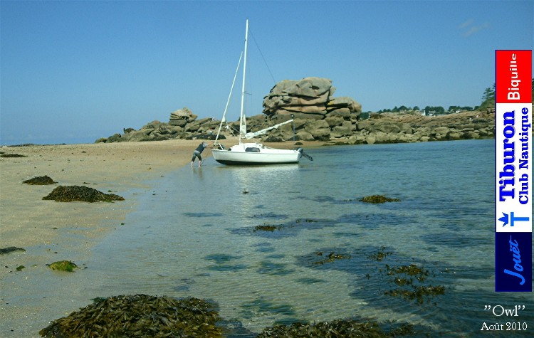 Tiburon biquille Plage de rêve !!! Trébeurden (29)