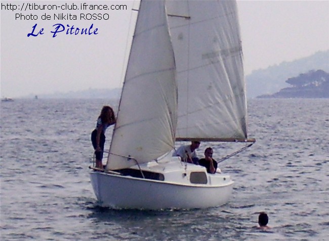 Tiburon