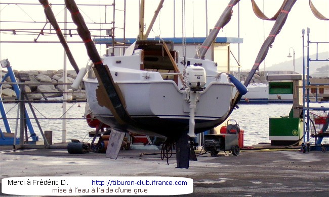 Le Pitoule