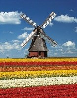 Moulin