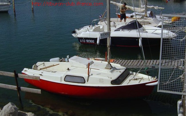 Shango / Tiburon biquille