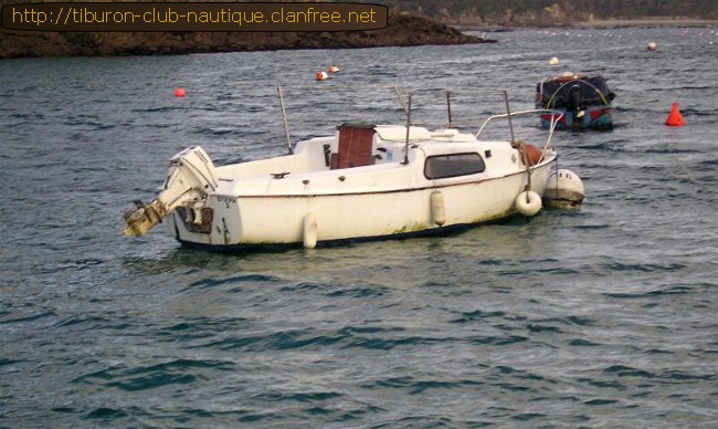 Tiburon biquille Tiburon biquille