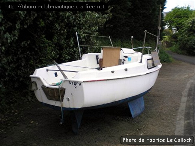 Tiburon