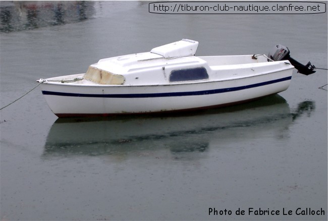Tiburon