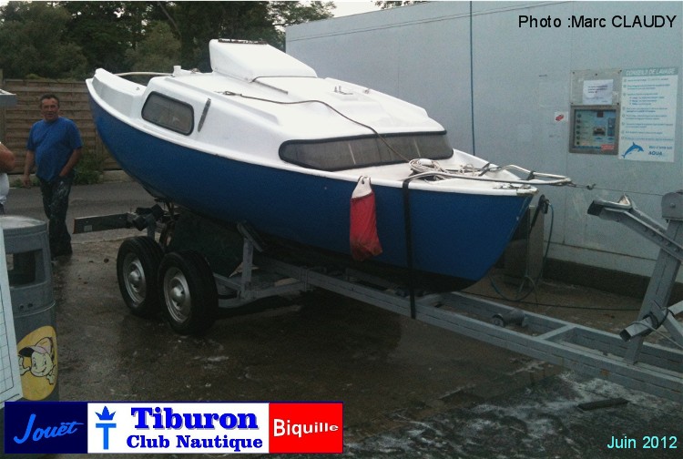 Tiburon biquille Tiburon biquille